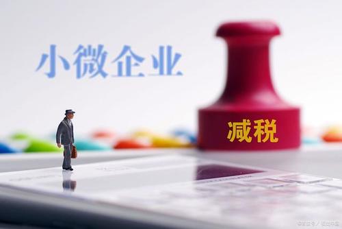 至年底，山東免除個(gè)體工商戶(hù)和小微企業(yè)免一切稅費